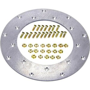 Fidanza Engineering - 229501 - Flywheel Insert Plate