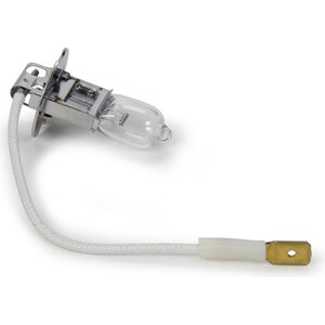 Exterior Light Bulbs