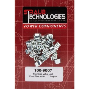 Valve Locks