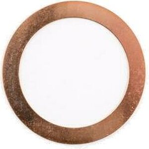Jesel - WSH-39660 - Outer Thrust Washer - 2.950 x 2.260 x .031