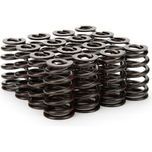 Valve Springs