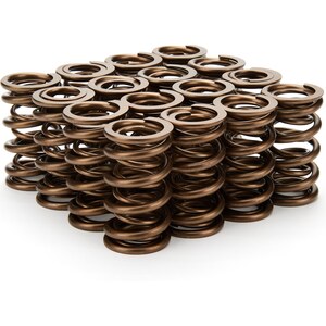 Valve Springs