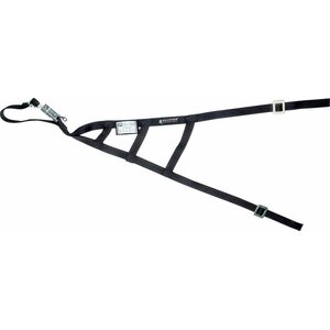Allstar Performance - 10246 - Triangle Window Net SFI