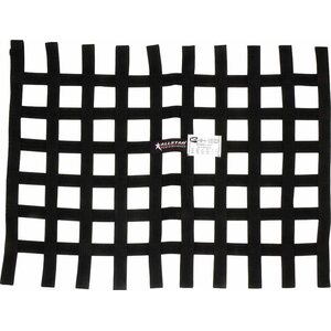 Allstar Performance - 10295 - Window Net Loop Style 18 x 24 SFI Black