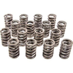 Valve Springs