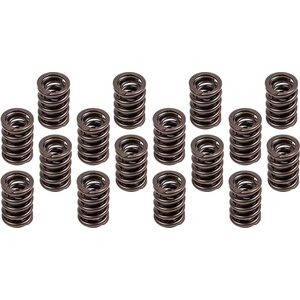 Valve Springs