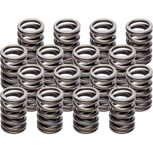Valve Springs