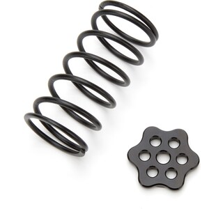 Ti22 Performance - TIP4220 - Master Cyinder Return Spring Black Steel Kit