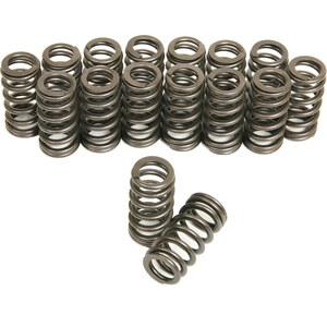 Valve Springs