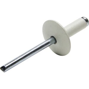 Allstar Performance - 18011 - Lg Hd Rivet White 250pk