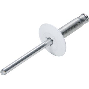 Allstar Performance - 18061 - Lg Hd Rivet 250Pk White Flange Type Alum Mandrel