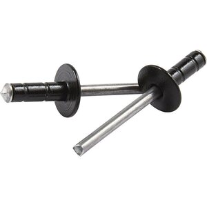 Allstar Performance - 18087 - Med Hd Rivet Black 250pk Multi Grip