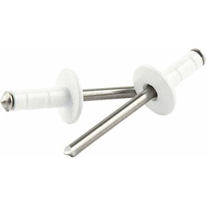 Allstar Performance - 18092 - Med Hd Rivet White 250pk Multi Grip