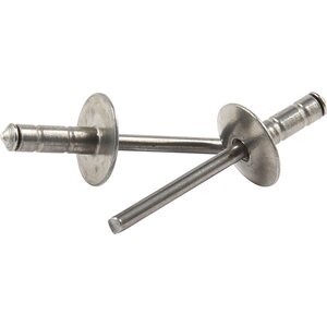 Allstar Performance - 18093 - Lg Hd Rivet Silver 250pk Multi Grip