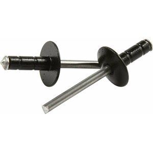 Allstar Performance - 18095 - Lg Hd Rivet Black 250pk Multi Grip