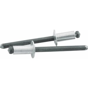 Allstar Performance - 18101 - Sm Hd Rivet Silver 250pk