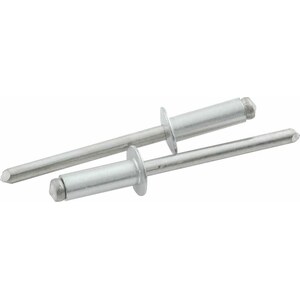 Allstar Performance - ALL18109 - Sm Hd Rivet Silver 250Pk