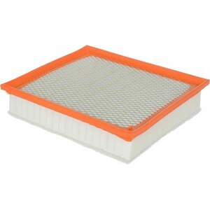 FRAM - CA11895 - FRAM Air Filter
