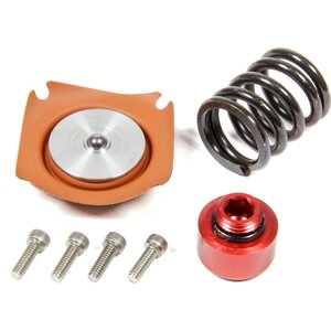 Aeromotive - 13013 - Regulator Rebuild Kit - 13303 35-75psi .188 Seat