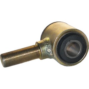 Rear Control and Trailing Arm Bushings