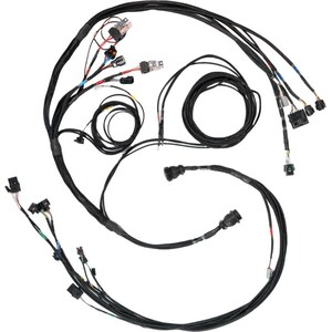 FuelTech - 2002007356 - FT450/550 Sportsman A Datalogging Harness