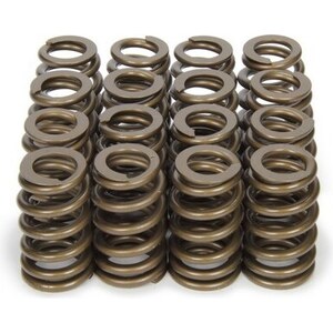 PAC Racing - PAC-1283 - 1.250 Valve Springs - Ovate Beehive (16)