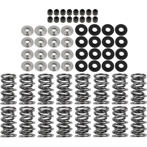 Brian Tooley Racing - SK001/T/0560/BB - Platinum Dual Spring LS Kit Titanium Retainer