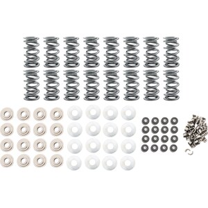 Brian Tooley Racing - SK007/0560/BB - Platinum LT1 Dual Spring Kit .660in Lift Gen V
