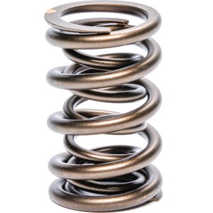 AFR - 8019-16 - 1.270 OD Valve Spring Set - Pacaloy