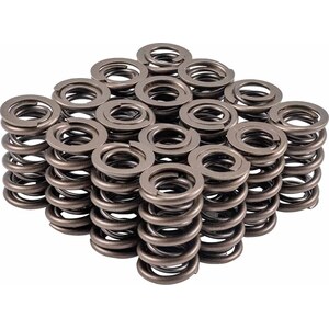 Valve Springs