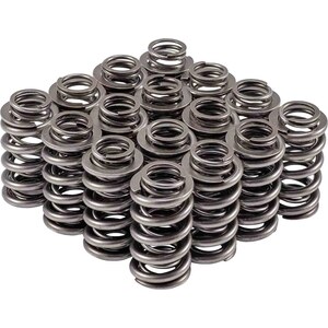 Valve Springs