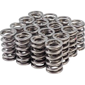 Valve Springs