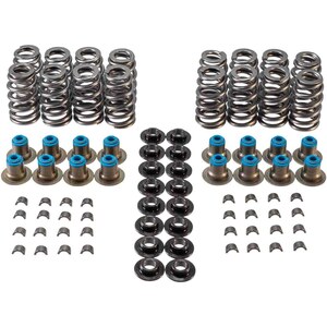 Valve Springs