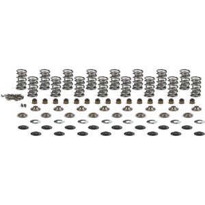 Brian Tooley Racing - SK008/BB - GEN V LT4 Platinum Dual Spring Kit .660in Lift