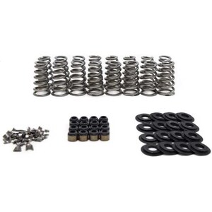 Brian Tooley Racing - SK013 - LT1/L86 Conical Spring Kit .650in Lift