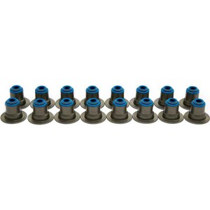 Brian Tooley Racing - VS LS HAT KIT - Valve Seal Set of 16 2001+ LS