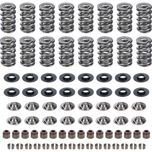 Cam Motion - VSK143803 - GM LS Dual Valve Spring Kit .660 Dia.