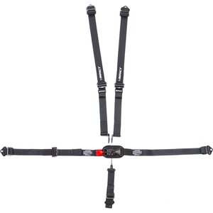 Kilpavyöt Sfi 16.1 5 - 6 - 7 piste turvavyöt