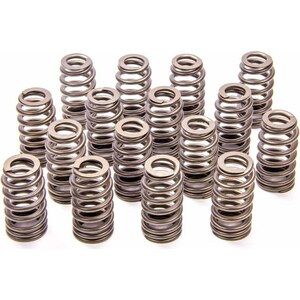 Valve Springs