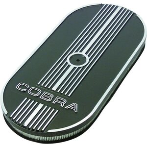 Air Cleaner Assemblies and Air Intake Kits