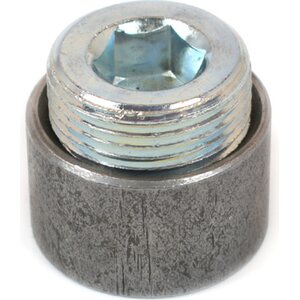 Weld In Bungs and Fittings