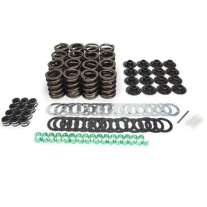 Trick Flow - TFS-2500100 - Valve spring upgrade kit Ford 289-351W