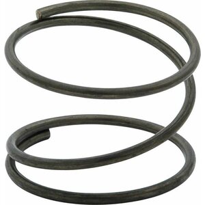 Fuel Pump/Filter Springs