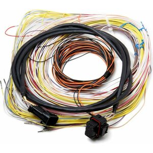 Holley - 558-401 - Auxiliary Harness J2A Connector
