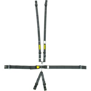 Kilpavyöt Sfi 16.1 5 - 6 - 7 piste turvavyöt