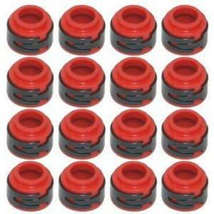Valve Stem Seals