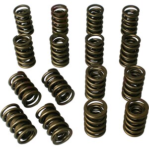 Valve Springs