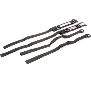 RJS Safety - 11001701 - Jr Dragster Arm Restrain