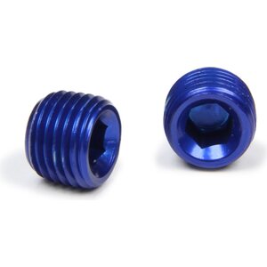 NPT Plugs