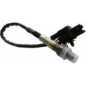 Oxygen Sensors